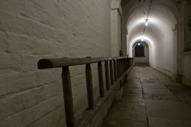 The Giant Ladder in the Uppark Tunnels 
