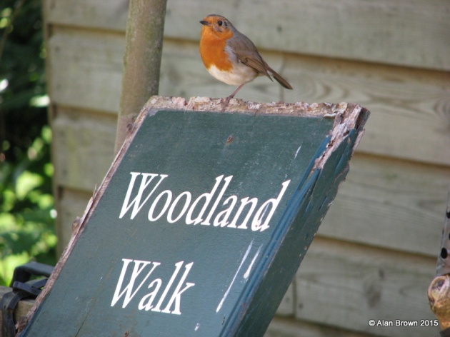 Woodland Walk sign